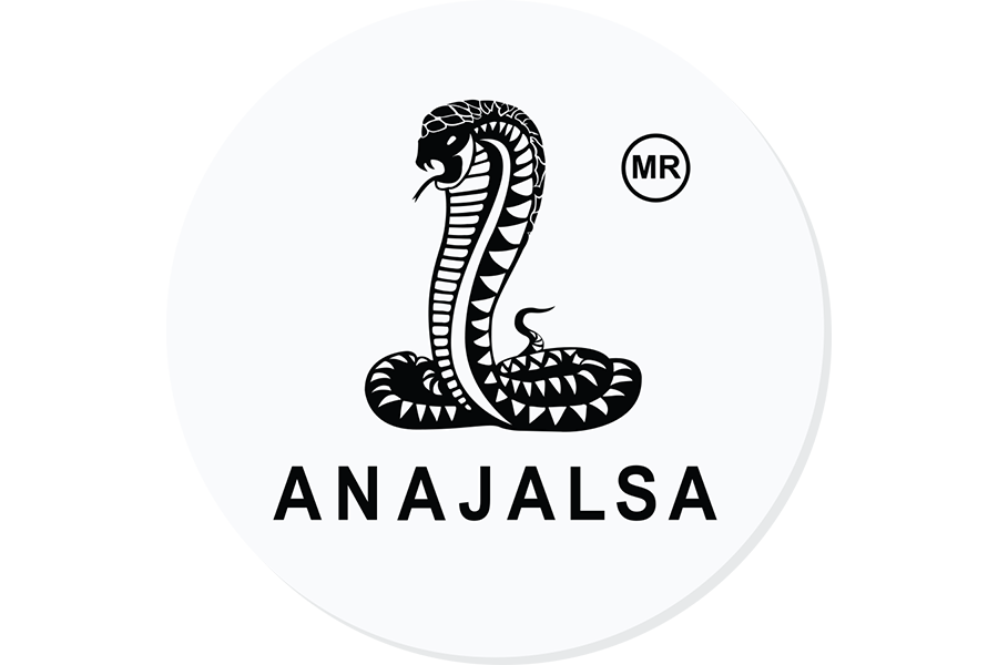 Anajalsa-logotipo-(1)